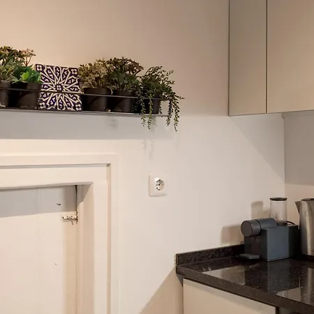 Apartamento Urban Charm 1br In Principe Real Lisboa