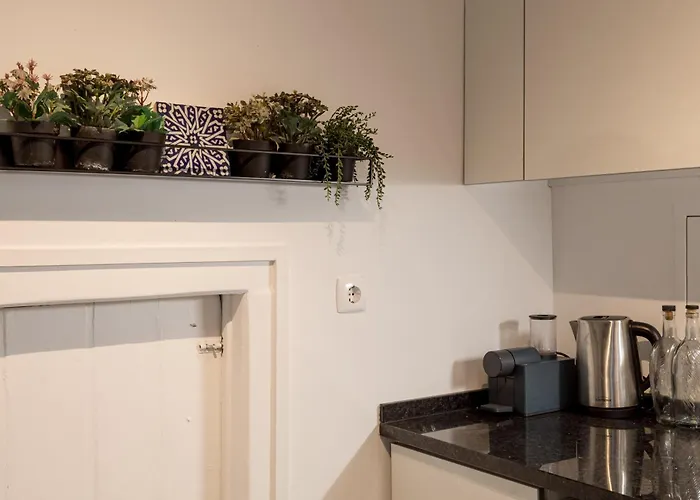 Apartment Urban Charm 1br In Principe Real Lissabon